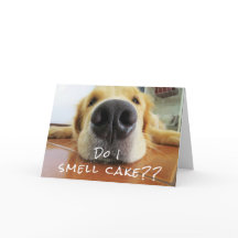 Fun Cute Dog Big Nose Feliz cumpleaños