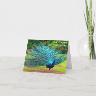 Tarjeta Fun Peacock Birday Card