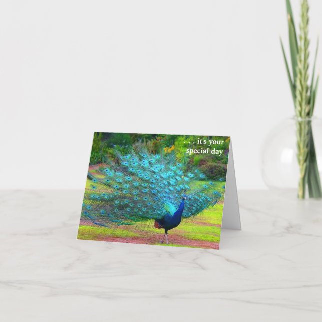 Tarjeta Fun Peacock Birday Card (Anverso)