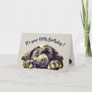 Tarjeta Funny 60th Birthday, Labrador Retriever