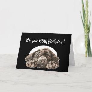 Tarjeta Funny 60th Birthday, Labrador Retriever
