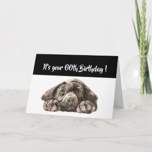 Tarjeta Funny 60th Birthday, Labrador Retriever