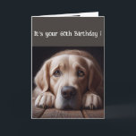 Tarjeta Funny 60th Birthday, Labrador Retriever<br><div class="desc">Gracioso cumpleaños 60,  perro triste,  acuarela original Labrador Recuperever, </div>