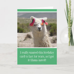 Tarjeta Funny Alpaca Llama Cumpleaños