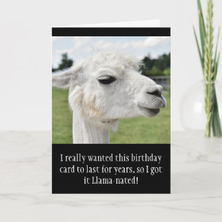 Tarjeta Funny Alpaca Llama Cumpleaños