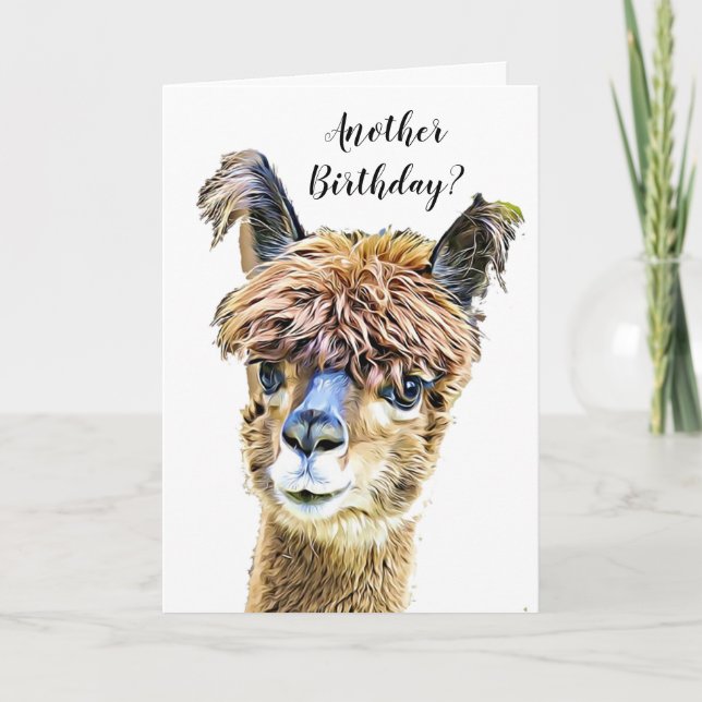 Tarjeta Funny Alpaca Llama Humor Cumpleaños (Anverso)