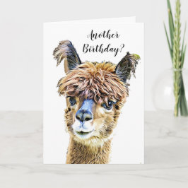 Tarjeta Funny Alpaca Llama Humor Cumpleaños
