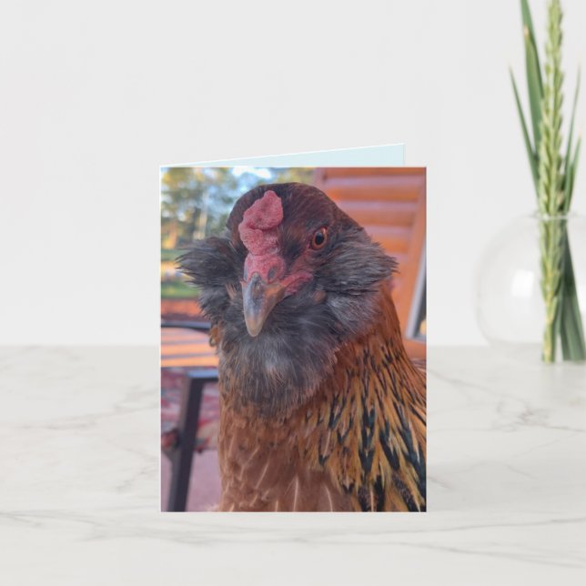 Tarjeta Funny Bearded Chicken Head Close-Up  (Anverso)