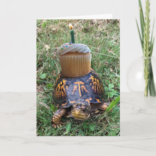 Tarjeta Funny Belated Birthday Card (Anverso)