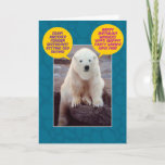 Tarjeta Funny Bi-Polar Birthday Bear<br><div class="desc">Quién puede resistir a este lindo oso polar, sentado en una roca y hablando de todos los aspectos negativos de los cumpleaños y en un segundo respiro, hablando de todos los aspectos divertidos y positivos de los cumpleaños. ¿Confundido? No si eres un oso bipolar. El interior de la tarjeta dice:...</div>