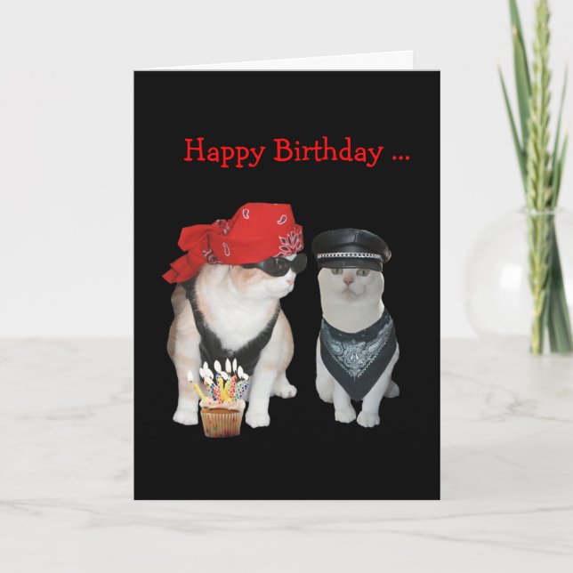 Tarjeta Funny Biker Cat Birthday (Anverso)