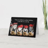 Funny Biker Cats Birday Card