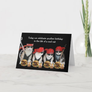 Tarjeta Funny Biker Cats Birday Card
