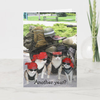 Tarjeta Funny Biker Cats Cumpleaños
