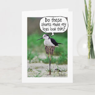 Tarjeta FUNNY BIRD SHORD Card o regalo