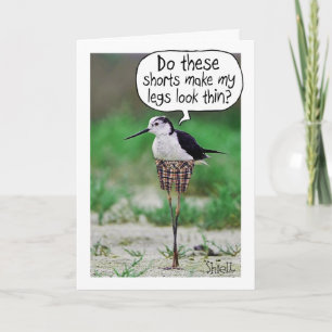 Tarjeta FUNNY BIRD SHORD Card o regalo
