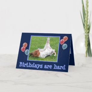 Tarjeta Funny Birday Card con Cute Basset y Champagne