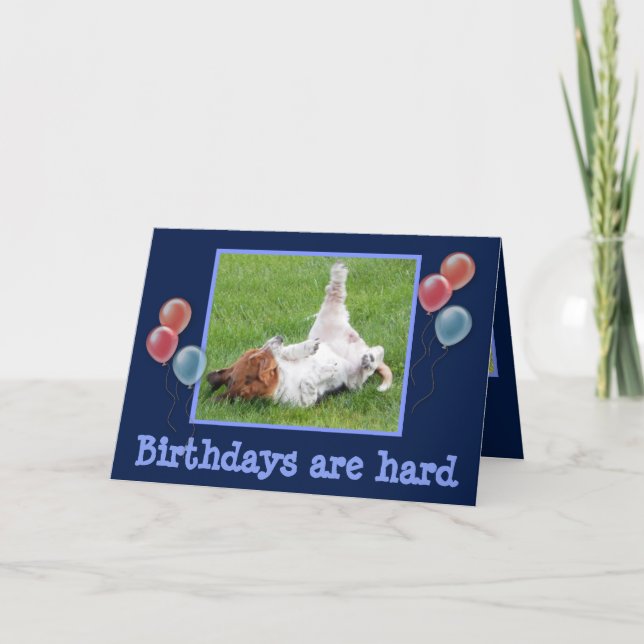 Tarjeta Funny Birday Card con Cute Basset y Champagne (Anverso)