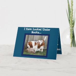Tarjeta Funny Birthday Card con Búsqueda Cute Basset