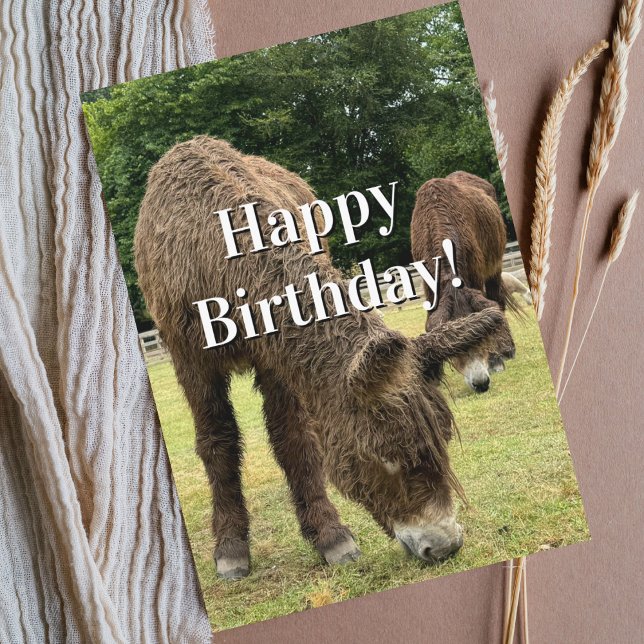 Tarjeta Funny Birthday Donkey Farm Animal Cute Barnyard  (Subido por el creador)