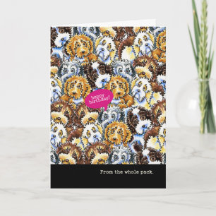 Tarjeta Funny Birthday from Group Mixed Breed Dogs
