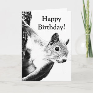 Tarjeta Funny Black and White Squirrel editable