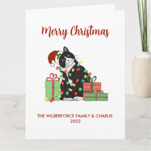 Tarjeta Funny Black Cat and Lights Navidades