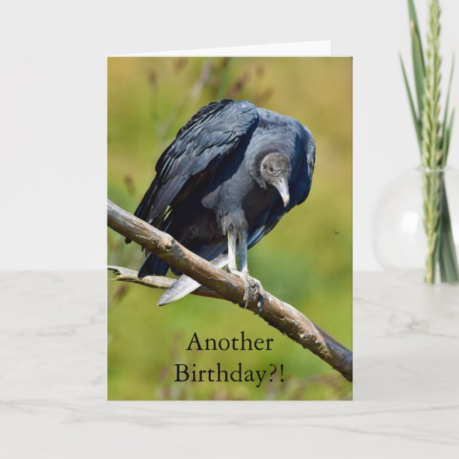 Tarjeta Funny black vulture birthday card (Anverso)