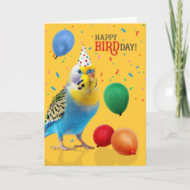 Tarjeta Funny Blue and Yellow Budgie Parakeet Birthday (Anverso)