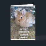 TARJETA **FUNNY BUNNY** DICE FELIZ CUMPLEAÑOS<br><div class="desc">ÉL ERA DEMASIADO CORTO PARA PASAR A LA FERIA DE NUESTRO CONDADO... ¡NO ES ÉL! ¡¡¡GRACIAS POR DETENERME EN UNA DE MIS OCHO TIENDAS!!!</div>