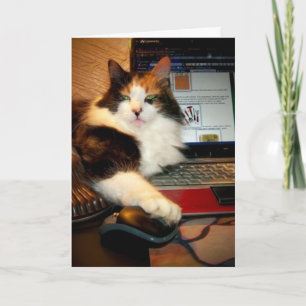 Tarjeta Funny Calico Cat Greeting Card