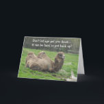 Tarjeta Funny Camel Birthday<br><div class="desc">Un camello perezoso descansando sobre la hierba. Un animal interesante. Esta graciosa tarjeta de cumpleaños se puede personalizar como se desee.</div>