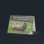 Tarjeta Funny Camel Birthday<br><div class="desc">Un camello perezoso descansando sobre la hierba. Un animal interesante. Esta graciosa tarjeta de cumpleaños se puede personalizar como se desee.</div>