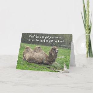 Tarjeta Funny Camel Birthday