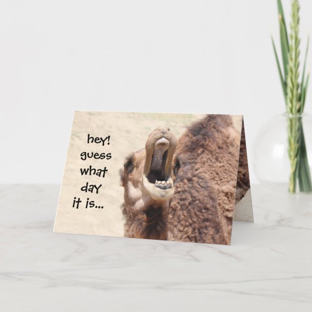 Tarjeta Funny Camel Hump Day Card (Anverso)