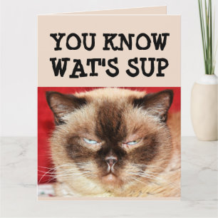 Tarjeta FUNNY CAT BIRTHDAY BIG Greeting Card