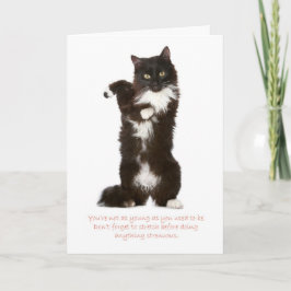 Tarjeta Funny Cat Birthday Card