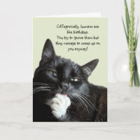 Funny Cat Birthday Card