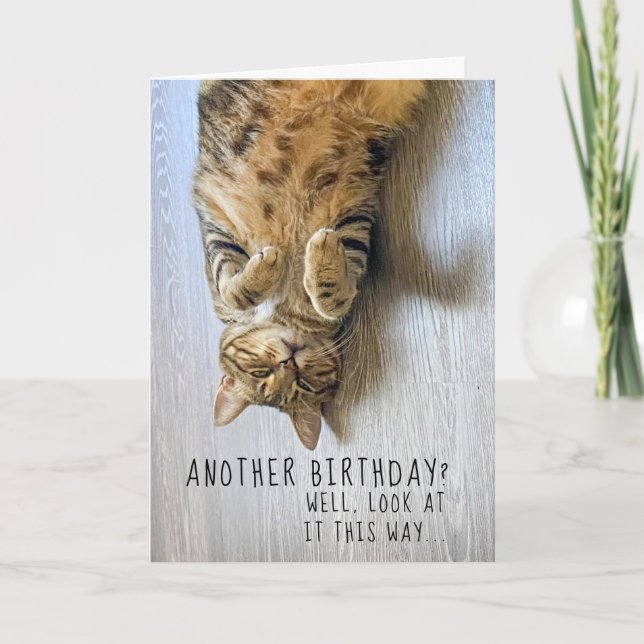 Tarjeta Funny Cat Birthday Card (Anverso)