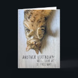 Tarjeta Funny Cat Birthday Card<br><div class="desc">Desearía a tu ser querido un feliz cumpleaños con esta tarjeta.</div>
