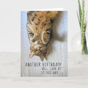 Tarjeta Funny Cat Birthday Card
