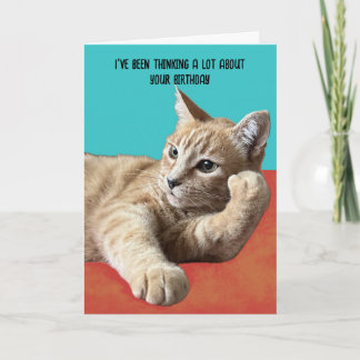 Tarjeta Funny Cat Birthday Card