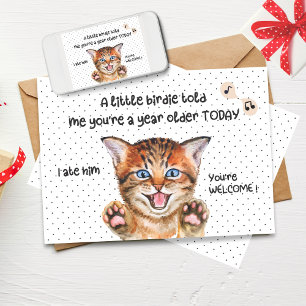 Tarjeta Funny Cat Birthday Card   Un pequeño birdie me dij