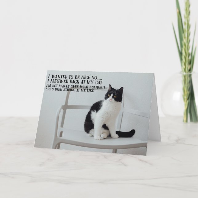 Tarjeta Funny Cat Birthday Greeting Card  (Anverso)