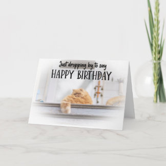 Tarjeta Funny Cat Birthday Greeting Card