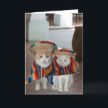 Tarjeta Funny Cat Cumpleaños Español para el marido o la m<br><div class="desc">Bubba y Missy con sombreros y serapías. Se pueden mover un poco y ajustar el tamaño. Dentro dice: "¡Feliz cumpleaños a mi familia!" que fue traducido del "¡Feliz cumpleaños a mi bella esposa!" revelo que usé un sitio de traducción, spanishdict.com. Puede copiar y pegar otra frase en el cuadro de...</div>