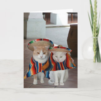 Tarjeta Funny Cat Cumpleaños Español para el marido o la m