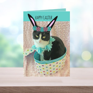 Tarjeta Funny Cat Easter Card