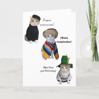 Tarjeta Funny Cat/Kitty Feliz cumpleaños en seis idiomas