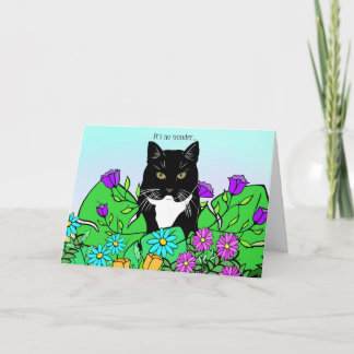 Tarjeta Funny Cat Lover Birday Card